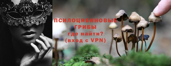 MESCALINE Гусиноозёрск