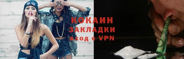 шишки Дмитров