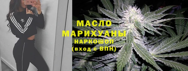 дживик Гусь-Хрустальный