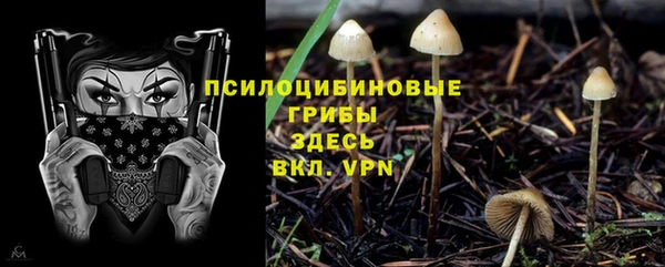 MESCALINE Гусиноозёрск