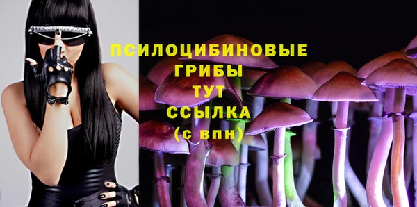 дживик Гусь-Хрустальный